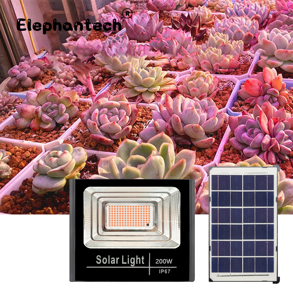 LED Full Spectrum Phyto 200W พ - Power Outage Light บทวิจารณ์และราคา
