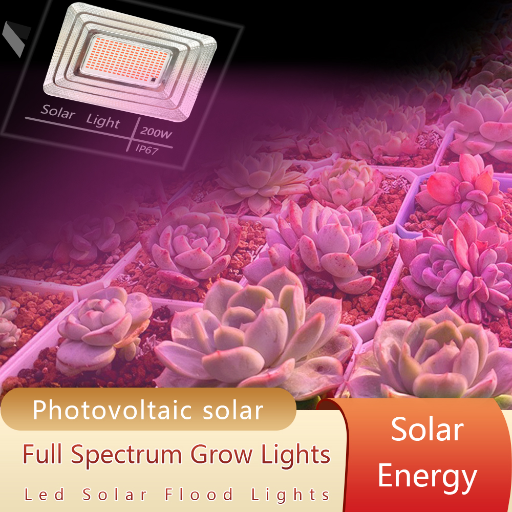 LED Full Spectrum Phyto 200W พ - Power Outage Light บทวิจารณ์และราคา